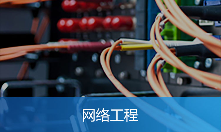 网络工程